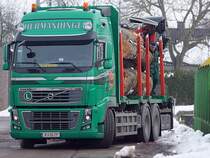 VOLFO FH16-600 hat per Bahn angelieferte Rundholzstmme aufgeladen;100219