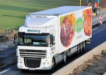 DAF XF 8TS Khlauflieger, Spedition  Meiberg , auf der A61 bei Heimerzheim, 18.03.2010