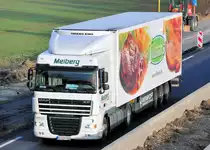 DAF XF 8TS K�hlauflieger, Spedition  Meiberg , auf der A61 bei Heimerzheim, 18.03.2010