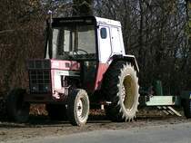 IHC-844S hat sich ein sonniges Platzerl in den Donauauen bei Tulln gesucht;091126