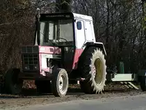 IHC-844S hat sich ein sonniges Platzerl in den Donauauen bei Tulln gesucht;091126