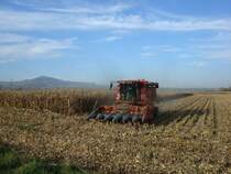 Mhdrescher Case 2166,
6Zyl.Turbu-Diesel mit 240PS,
bei der Maisernte am Kaiserstuhl,
Nov.2008