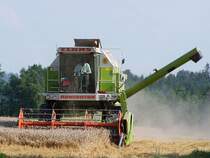 CLAAS_Dominator88s frisst sich frmlich durchs Weizenfeld;090809