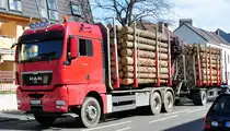 MAN TGX 33.480 H�ngerzug Holztransport, Euskirchen 25.03.2010