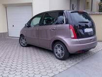 Lancia Musa.  Aufgenommen: 07.04.2010