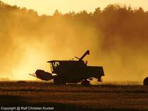 Claas Medion 310 Mhdrescher bei der Ernte in der Abenddmmerung - fotografiert am 20.08.2009 im Land Brandenburg - Copyright @ Ralf Christian Kunkel