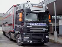 DAF-XF105.510(Limited-Editon)  wird in Krze Rinder von den Stallungen des FIH abtransportieren;100411