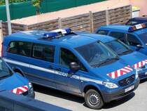 MB Vito 4X4 einer Gebirgseinheit.