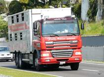 DAF CF Tiertransporter unterwegs bei Wieden-Heinrti am 22.04.2010