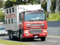 DAF CF Tiertransporter unterwegs bei Wieden-Heinr�ti am 22.04.2010