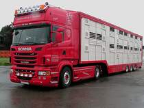 SCANIA-R620(Super)holt in Ried i.I. Rinder ab;100520