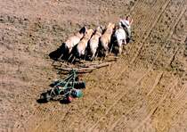 Original 5 PS mit  Haferantrieb  auf dem Acker bei der Arbeit. Irgendwo in Deutschland Mitte der 80iger Jahre - Luftaufnahme. 