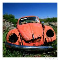 VW Kfer - Volkswagen Beetle - VW Type 1 - Ein alter Kfer am Straenrand in Irland. Die Scheinwerfer scheinen einen Abnehmer gefunden zu haben. Ansonsten leider mehr Wrack als Oldtimer - wirklich schade.