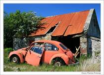 VW Kfer - Volkswagen Beetle - VW Type 1 - Ersatzteillager am Straenrand in Irland. Die Scheinwerfer haben bereits einen Abnehmer gefunden, aber die linke Rcklichtabdeckung sah noch vielversprechend aus.