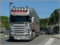 Scania R 500 mit einem Viehtransportauflieger fotografiert am 23.05.10 in Esneux (B). 