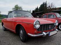 FIAT 1500-Cabrio, wurde im Zeitraum von 1963�1966 erzeugt, und erbrachte mit seinen 72PS eine H�chstgeschwindigkeit von 140km/h;100501