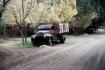 San Rafael, Argentinien, Mai 2006.
In einer Seitenstrae wartet der LKW auf seinen nchsten Einsatz.
Leider kann ich nicht sagen, was fr ein LKW es ist...
Falls jemand weiter weiss, schreibe ichs hin und sortiere ihn ein.
