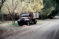 San Rafael, Argentinien, Mai 2006.
In einer Seitenstra�e wartet der LKW auf seinen n�chsten Einsatz.
Leider kann ich nicht sagen, was f�r ein LKW es ist...
Falls jemand weiter weiss, schreibe ichs hin und sortiere ihn ein.
