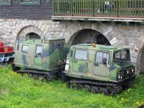  BV 206  der schwedischen Firma  Hgglunds Vehicle AB , ein Kettenfahrzeug im Military-look mit Anhnger, sah ich im tschechischen Riesengebirge an der Wiesenbaude (tschechisch: Lučn bouda); 26.06.2010
