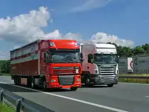 SCANIA R 480 und DAF -XF gleichauf - im Sauerland unterwegs am 15.7.10