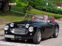AUSTIN-HEALY an der Startlinie zur Oldtimerausfahrt  Stehrerhof ;100704