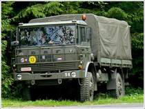 Dieser DAF LKW des niederlndischen Militrs, mit belgischem Kennzeichen, stand am 03.08.2010 am Straenrand in der nhe von Salmchteau.   