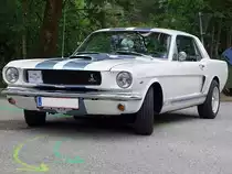 MUSTANG;Bj.1965 orientiert sich bei der Wadholz-Classic2010 nach der Pfeilmarkierung;10718