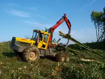 Schwere Forstmaschine im Einsatz. Der Welte 210 ist eine 6-R�dige R�cke und Kombimaschine von Welte mit Rahmenknicklenkung. Angetrieben wird das Fahrzeug von einem 6-Zylinder wassergek�hlten Deutz Turbo-Motor mit Ladeluftk�hler mit 7150 ccm Hubraum und 235 PS, max. Geschwindigkeit 40 km/h. Mit dem Kran werden die St�mme auf die Klemmbank gelegt und dann aus den Wald zur Strasse gezogen. Mit dem 6Radantrieb ist dies selbst in schwierigsten Gel�nde m�glich. Statt der Klemmbank kann auch ein Rungenkorb zum Transport kurzer St�mme montiert werden. Dieses Fahrzeug besitzt ausserdem noch  eine Doppeltrommelseilwinde mit 14 Tonnen Zugkraft um Baumst�mme aus unzug�nglichen Gel�nde zu bergen. Zu sehen war das ganze am 10.08.2010 in Aachen auf der Campusbaustelle Melaten, wo ein Wald dem Bauvorhaben der RWTH Aachen weichen mu�. 