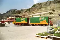 Mit meinem Steyr 1291 in den 1980iger Jahren
im Wallis in der Schweiz