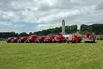 Historischer Fuhrpark der FFW Schmannewitz zum 28.Feuerwehrtag 2010 in Leipzig.