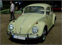 VW Kfer BJ 1962 fotografiert am 01.08.2010.