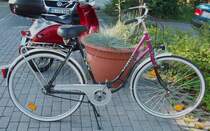 Damen City Bike prophet Herten 21/08/2010
