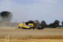 Mhldroscher im August ´10 auf einen Feld bei Dedensensen/Gmmer.