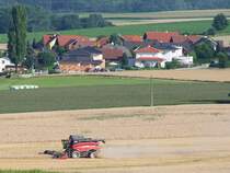 CASE_AFX8010 verrichtet mit zustzlich angebrachten Rdern seine Mhdruscharbeit auf den durchfeuchteten Feldern;100810