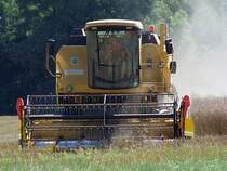 NEW_HOLLAND_TC56hydroplus mit Schneidwerk  Herkules CK100  am Ende eines Rapsfeldes;100801_3011