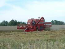 Massey Ferguson 487 auf einem Getreidefeld in Fulda-Dietershan, August 2010

