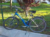 BUFFALO Citybike gesehen in Neustadt i.H. 03/09/2010