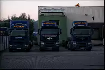 Durch den Zaun konnte ich einen SCANIA HIGHLINE G400 und zwei MAN TGS 26.400 von KOCH INTERNATIONAL auf den Chip bannen. (19.09.2010)