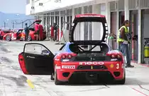 Ferrari F-430 mit offenem motorhaube und T�r.  Ferrari Racing Days 2010 , September.