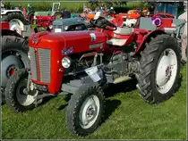 Massey-Ferguson 35, BJ 1962, 1750 ccm, aufgenommen beim Oldtimertreffen in Weiswampach (L)am 18.09.2010. 