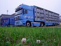 DAF_XF95.530 mit Viehtransportauflieger aus Borken ist in Ried im Innkreis zur Abholung von Fleckvieh eingetroffen;101003