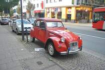 Eine Ente in Hildesheim am 03.10.2010.