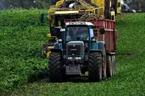 der Fendt hat den A...... voll gekriegt und zieht mit dem 3-achser Anh�nger voller R�ben vom Acker, bei Stralsund - 15.10.2010