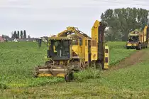 zwei  ROPA - EuroTIGER  am 15.10.2010 vor den Toren Stralsund's bei der R�benernte