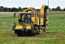  ROPA - EuroTIGER  am 15.10.2010 vor den Toren Stralsund's bei der R�benernte in der Wende