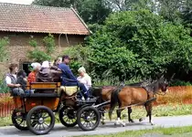Kutschfahrten an der Fuhse, beim M�hlenfest in Eixe, im August 2010