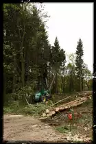 BAUM F�����LT......