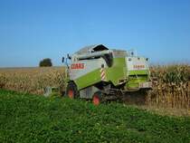 Claas Lexion 420 bei der Maisernte in der Rheinebene, Okt.2010