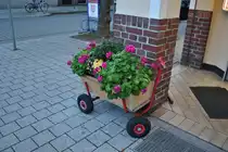 Bollerwagen, mit Blumen in Lehrte. Foto vom 15.11.10.