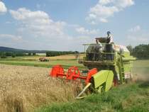 Claas Dominator 38, Foto aus dem Jahr 2004, gesehen in 36100 Petersberg-Marbach